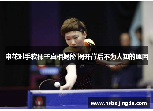 申花对手软柿子真相揭秘 揭开背后不为人知的原因