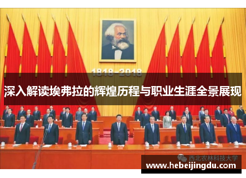 深入解读埃弗拉的辉煌历程与职业生涯全景展现