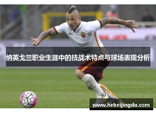 纳英戈兰职业生涯中的技战术特点与球场表现分析