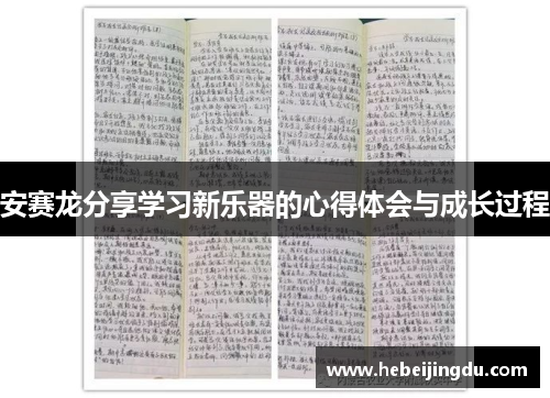 安赛龙分享学习新乐器的心得体会与成长过程