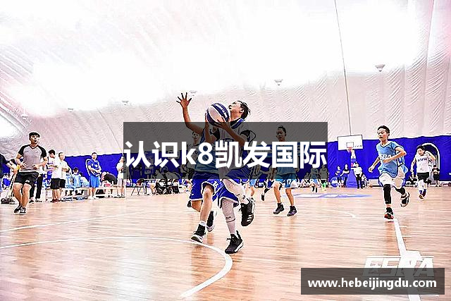 认识k8凯发国际